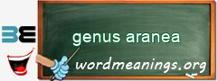 WordMeaning blackboard for genus aranea